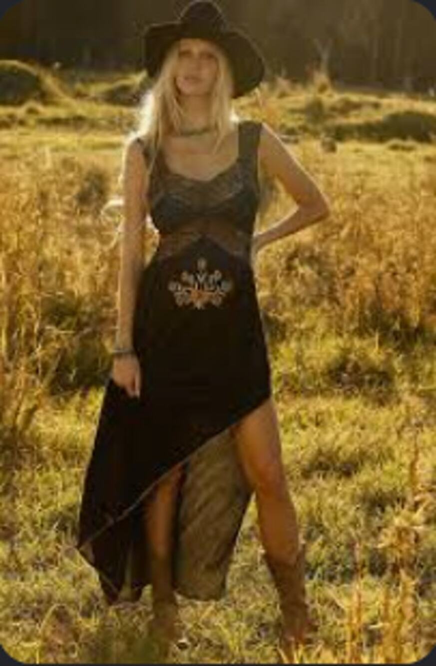 BNWT Take the Long Road Home Silk + Lace Embroidered Slip Dress